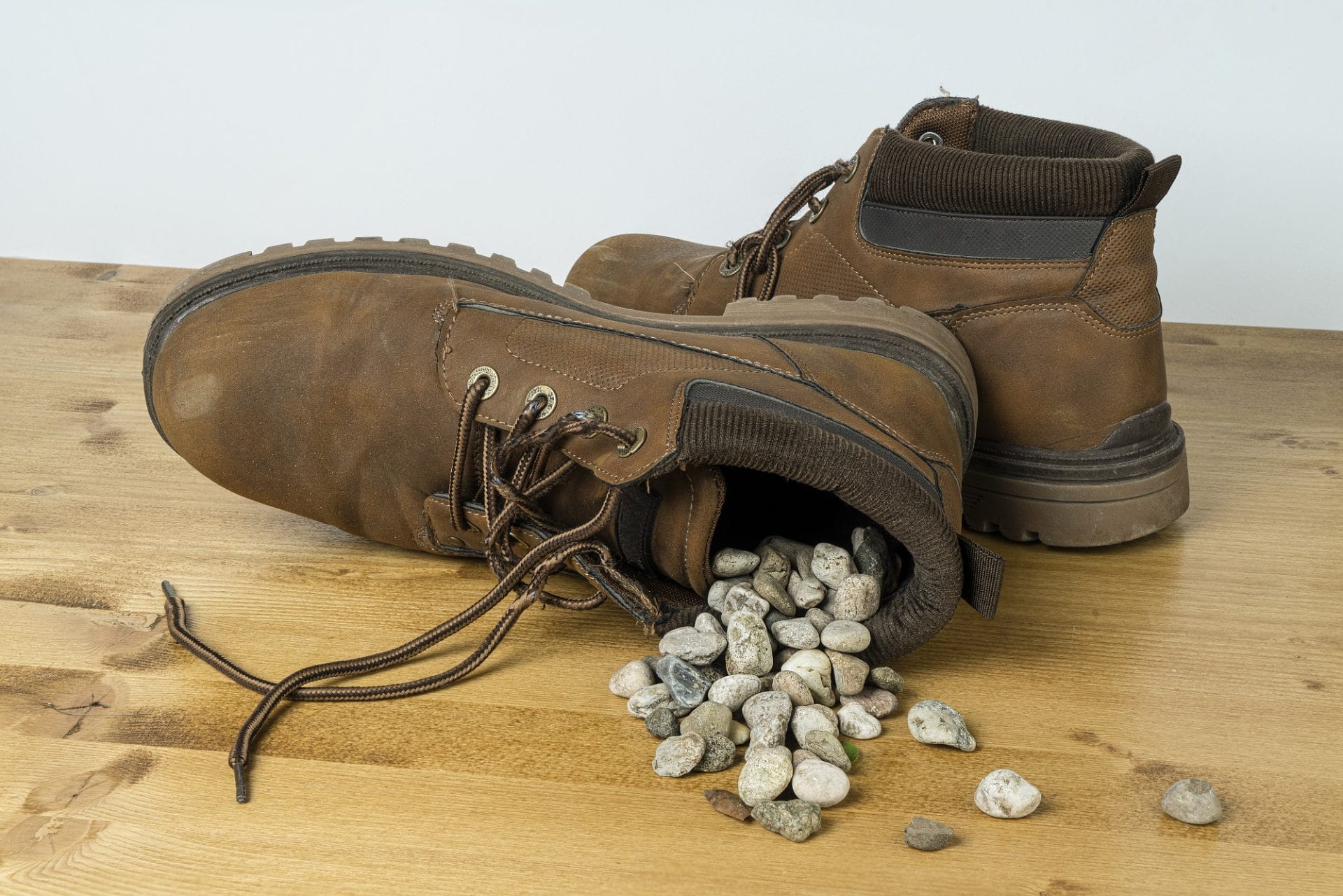 Dump the Pebble from Your Shoe Baird Group